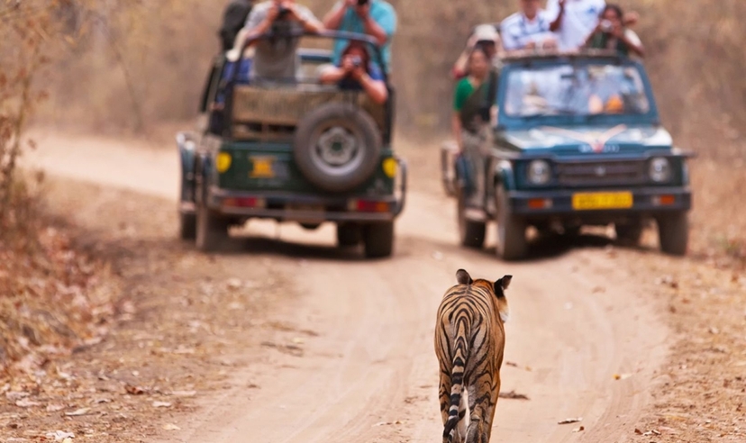 Timeless North and South India Trails 4
