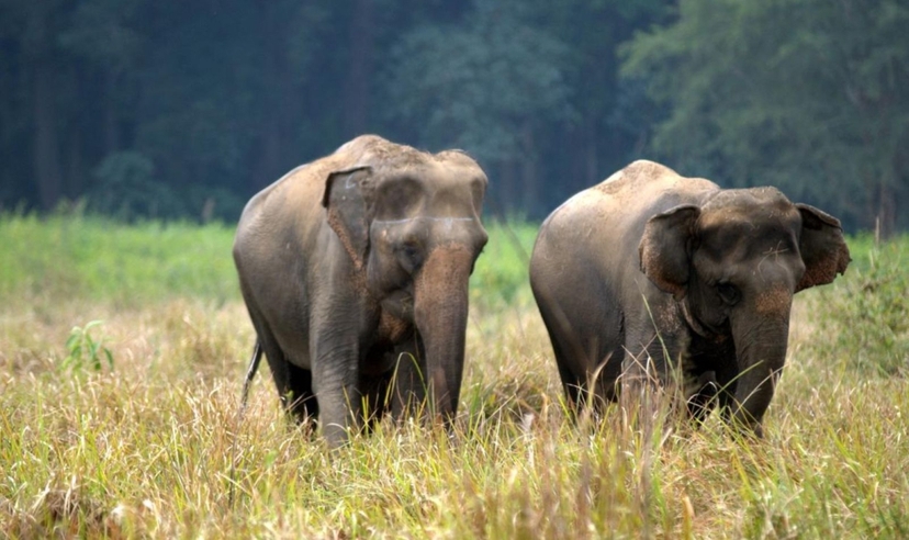 Grand India Discovery Trails 3