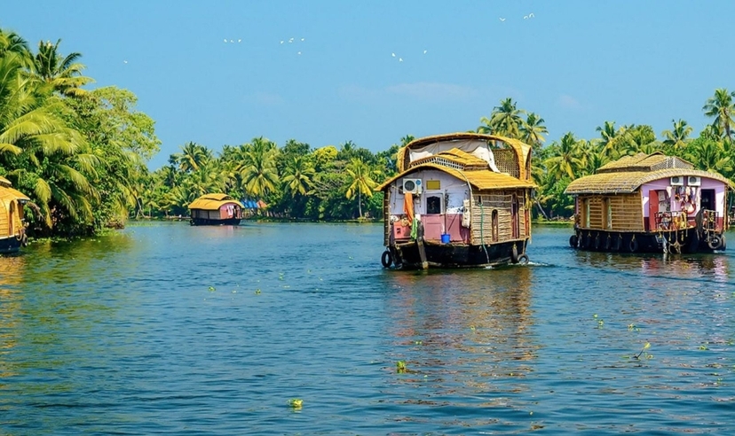 Kerala Backwaters & Tamil Nadu Trails 2