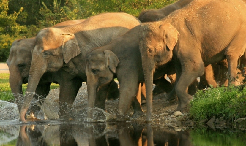Kerala Backwaters & Coastal Adventure Trails 3