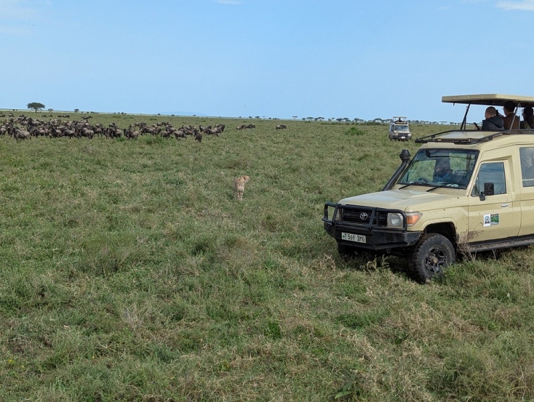 3 Days Tanzania Sharing Group Join Safari 1
