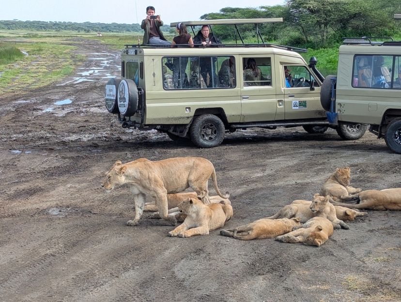 3 Days Tanzania Sharing Group Join Safari 2