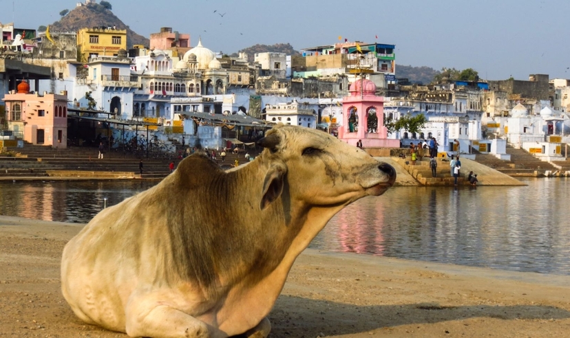 Rajasthan to Spiritual Varanasi Trails 2