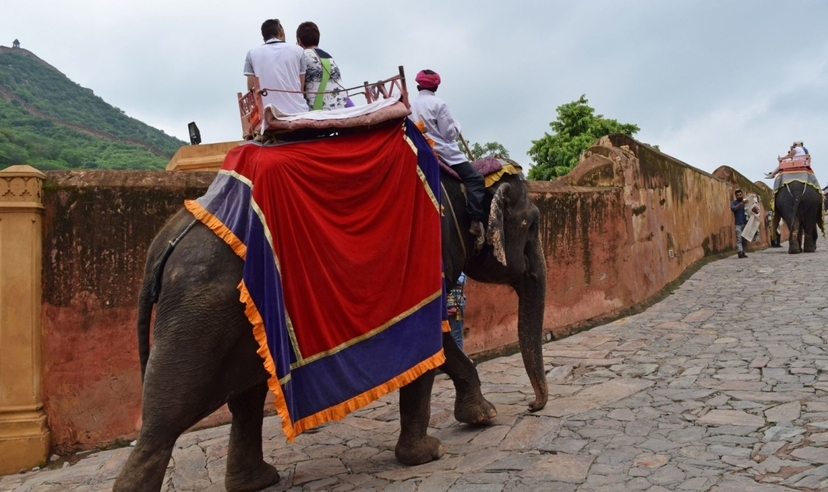 25-Day North India Grand Cultural & Wildlife Journey: Mumbai to Delhi via Rajasthan 3