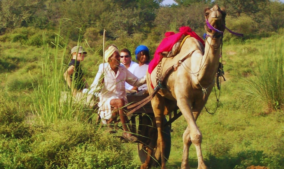 23-Day Royal Rajasthan & Kerala Grand Tour: Mumbai to Backwaters 1