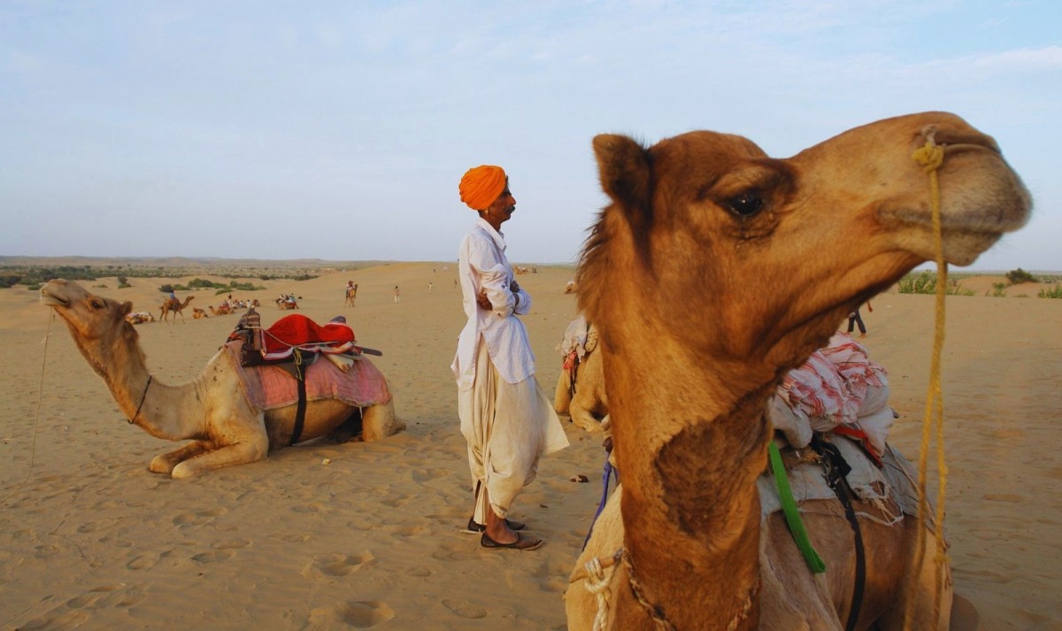 Grand Rajasthan & North India Heritage Circuit: 21-Day Cultural & Wildlife Journey 1