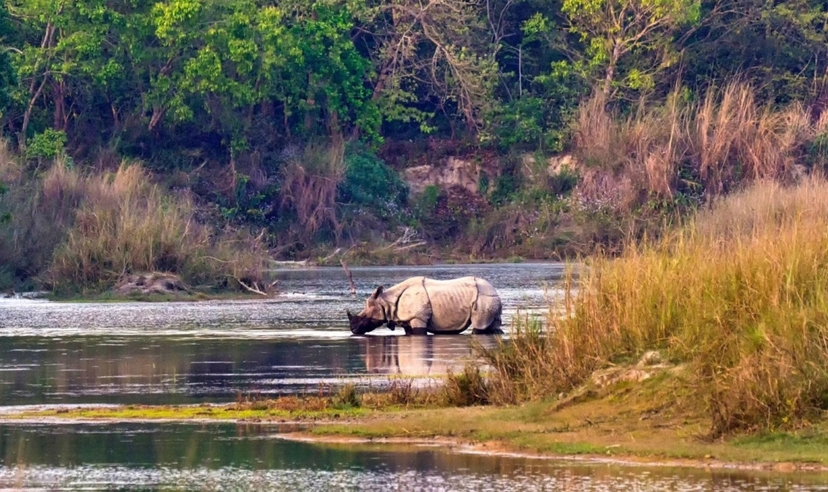16-Day India & Nepal Heritage Trail: Delhi, Taj Mahal, Varanasi, Buddhist Sites & Chitwan Safari 2