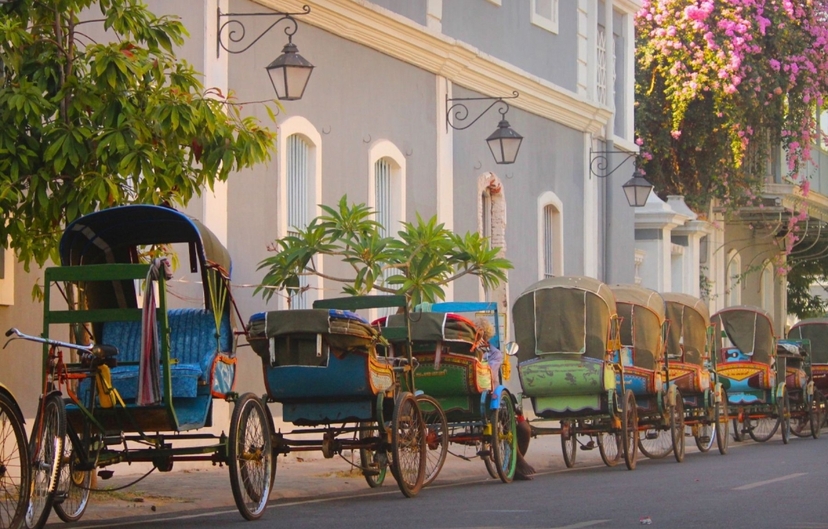 12-Day Cultural & Natural Journey Through Tamil Nadu & Kerala 2