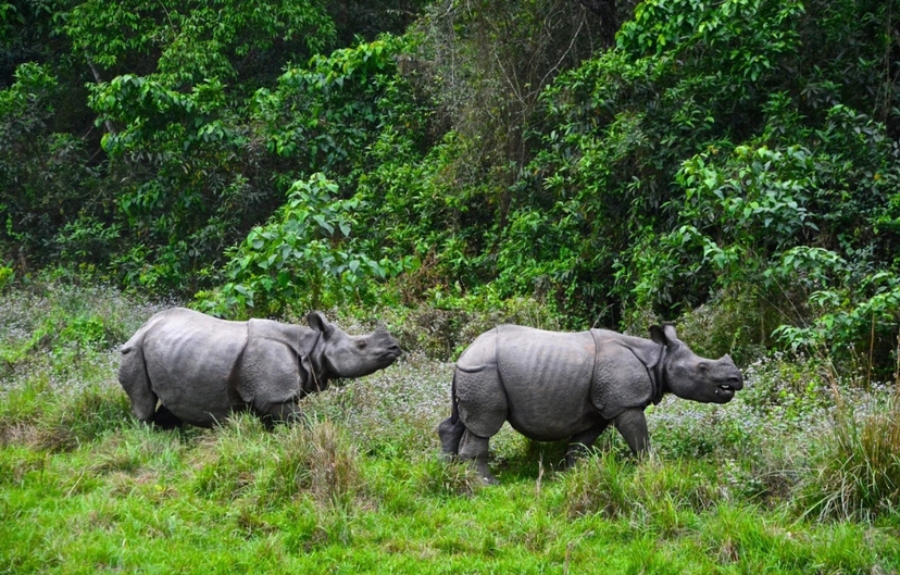Nepal Heritage & Himalayan Trails: Kathmandu, Pokhara & Chitwan Safari 2