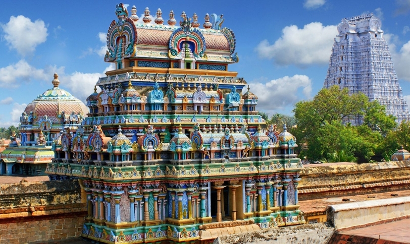 28-Day Comprehensive India Heritage, Wildlife & Spiritual Journey 3