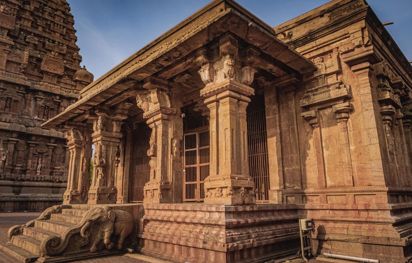 28-Day Comprehensive India Heritage, Wildlife & Spiritual Journey 4