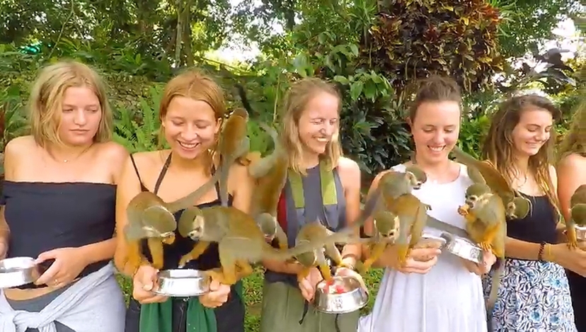 Punta Cana Monkeyland & Zipline Jungle Adventure 2