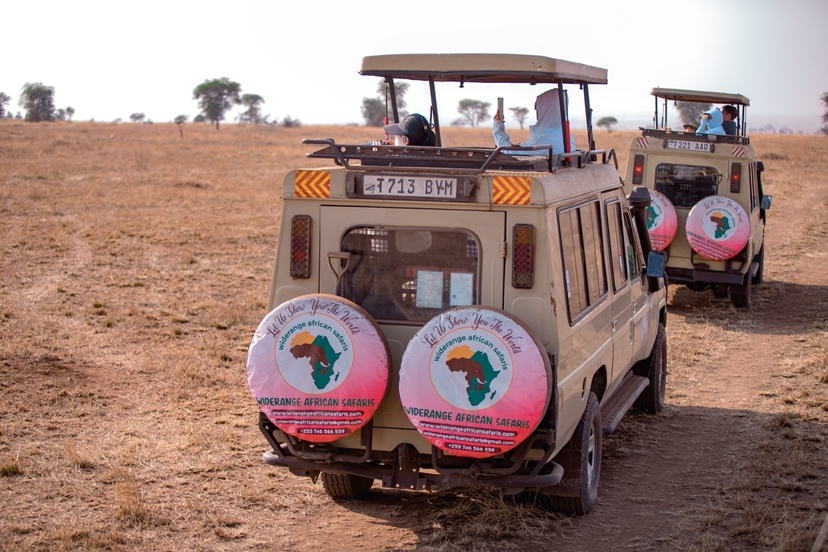 3-Day Northern Tanzania Safari: Tarangire, Lake Manyara & Ngorongoro Crater 2
