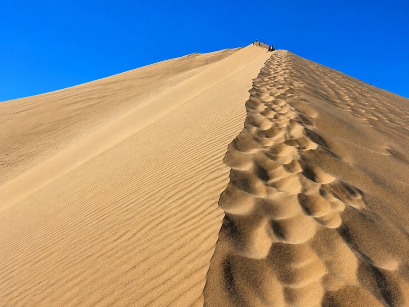Private Sunrise Desert Safari Qatar | Inland Sea, Dune Bashing & Camel Ride 4