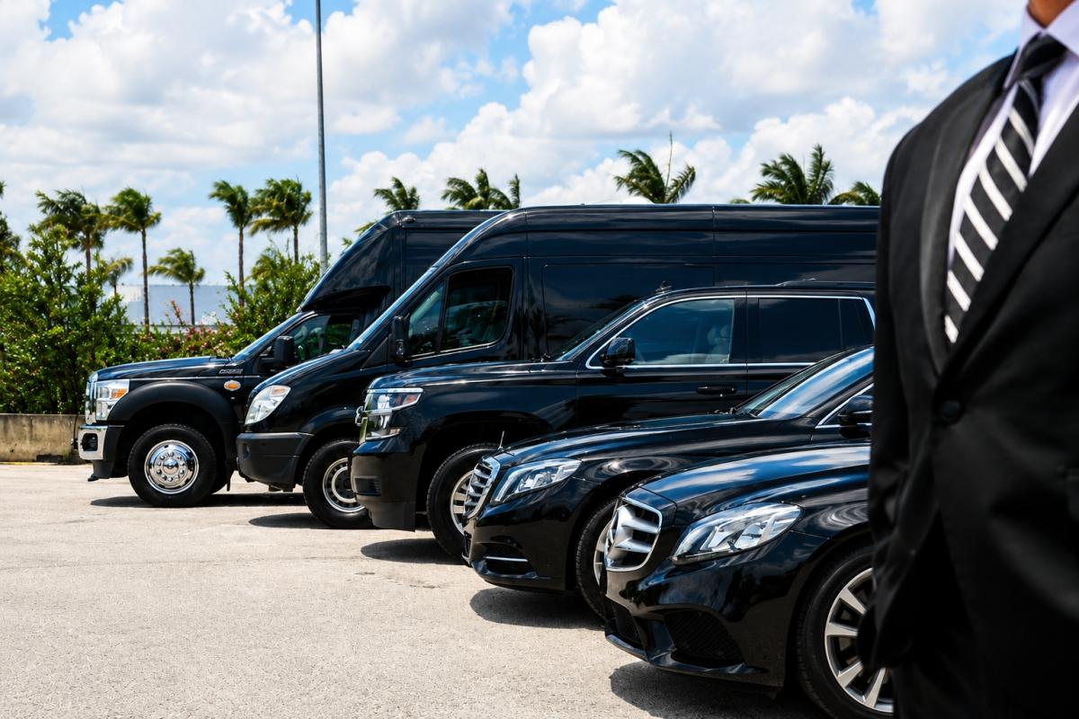 Doha: Private 8-Hour Chauffeur Service – Sedan or Van Doha: Private 8-Hour Chauffeur Service – Sedan or Van