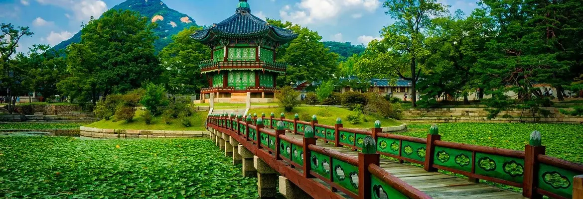 Best Time to Visit South Korea