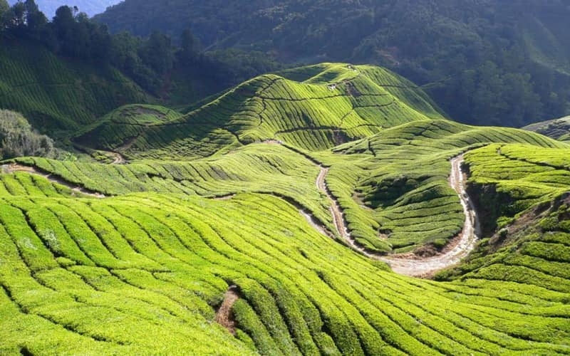 Best Places to Visit in Malaysia