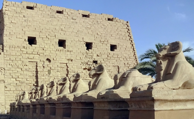 13 Days Cairo, Alexandria, Nile Cruise by Flight & Bahariya Desert Safari Tour | Egypt Package 3