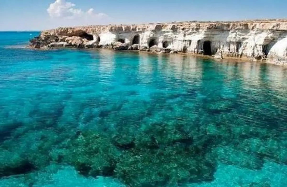 Explore the Wonders of the Red Sea – White Island & Ras Mohamed Explore the Wonders of the Red Sea – White Island & Ras Mohamed