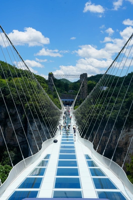 Zhangjiajie Grand Canyon Skywalk Glass Bridge + Tianmen Mountain One-day Tour 1