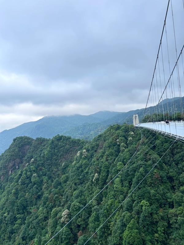 Zhangjiajie Grand Canyon Skywalk Glass Bridge + Tianmen Mountain One-day Tour 2