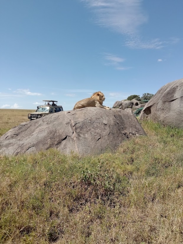 5 Camping Safari, Tarangire Ngorongoro and Serengeti 4