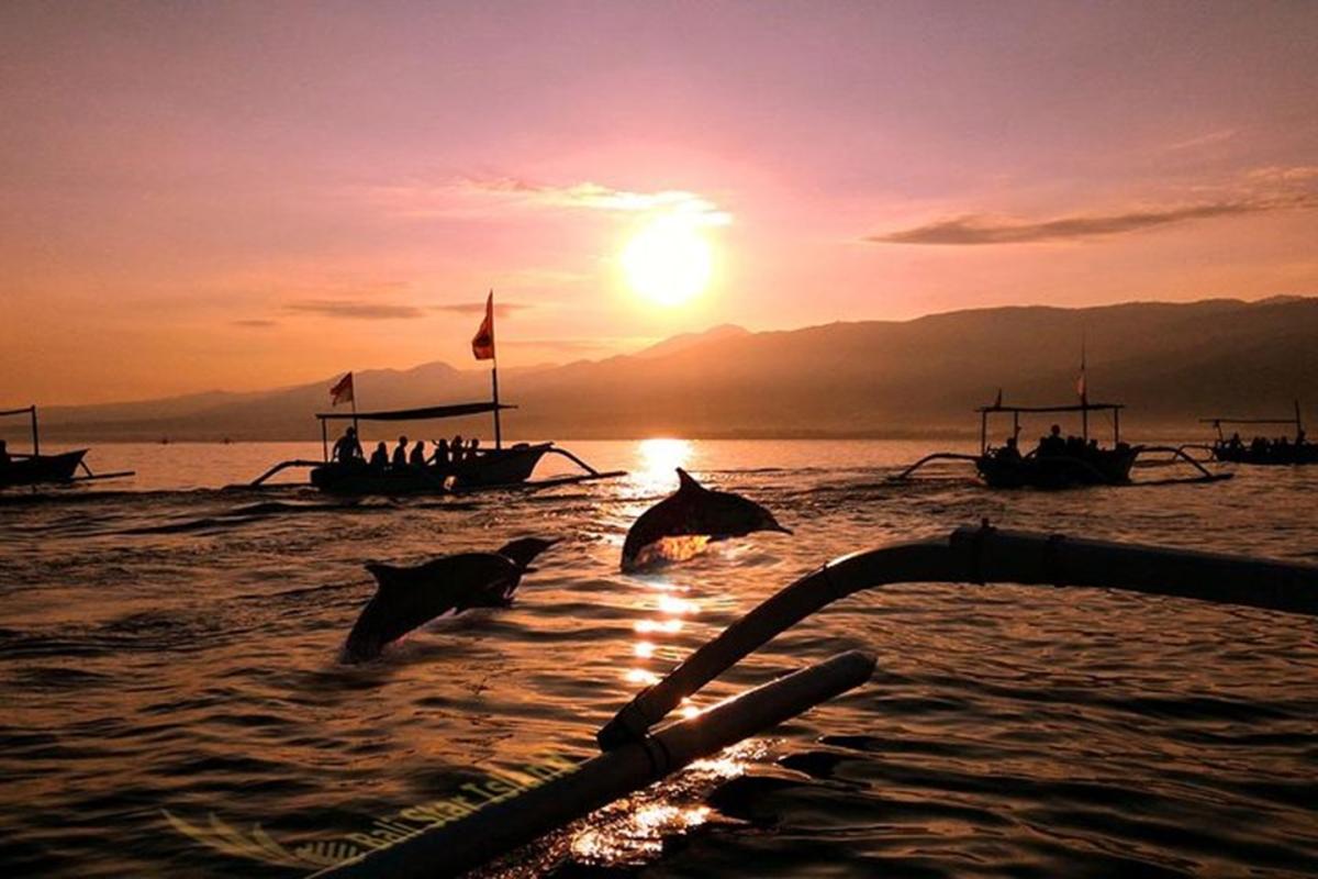 Bali Lovina Sunrise Dolphin Watching and Swim Experience Bali Lovina Sunrise Dolphin Watching and Swim Experience