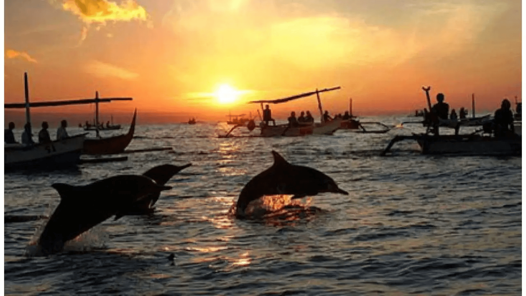 Bali Lovina Sunrise Dolphin Watching and Swim Experience 2
