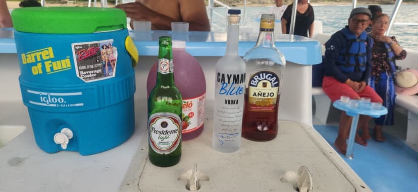 Puerto Plata Catamaran & Snorkeling Cruise Excursion 2