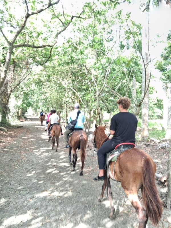 Puerto Plata Horseback Riding & Beach Adventure 2