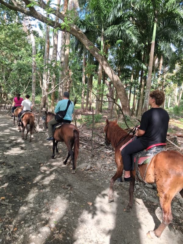 Puerto Plata Horseback Riding & Beach Adventure 4