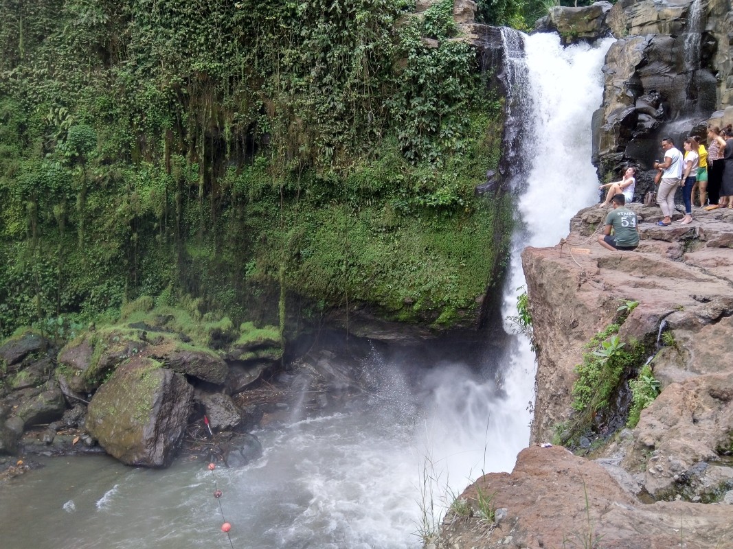 Bali Ubud Day Tour 1