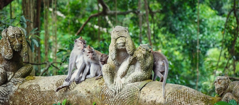 Bali Ubud Day Tour 3
