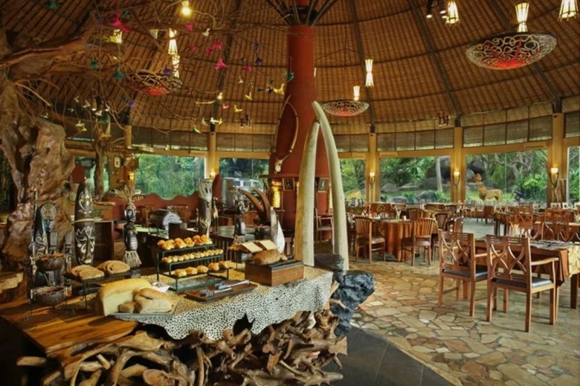 Bali Night Safari with Fire Show & Wildlife Encounter at Taman Safari 2