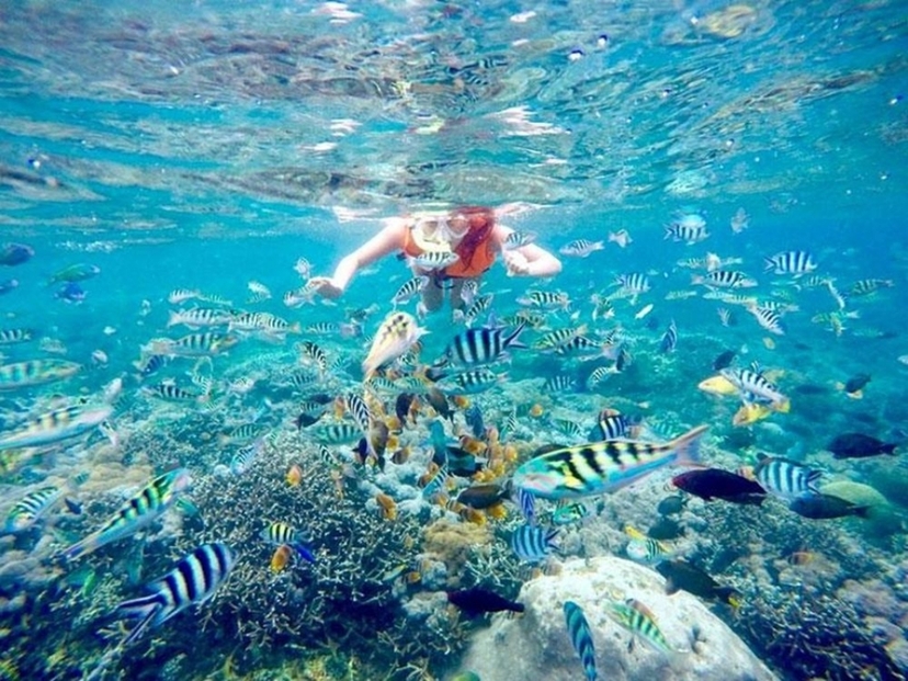 Bali Nusa Penida 4 Spots Snorkeling And West Island Tour 2