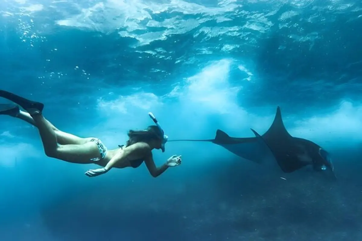 Bali Nusa Penida 4 Spots Snorkeling And West Island Tour Bali Nusa Penida 4 Spots Snorkeling And West Island Tour