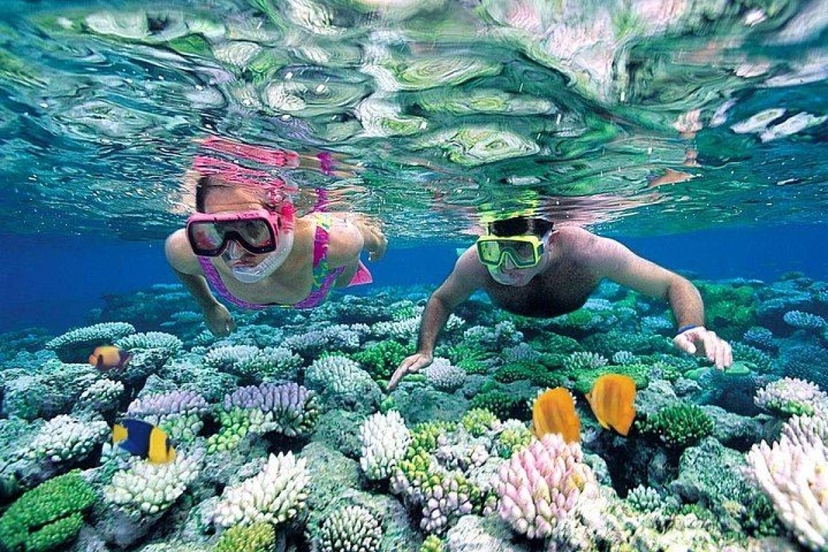 Bali Blue Lagoon and Tanjung Jepun Private Snorkeling Adventure – Reef, Coral, and Tropical Fish 2