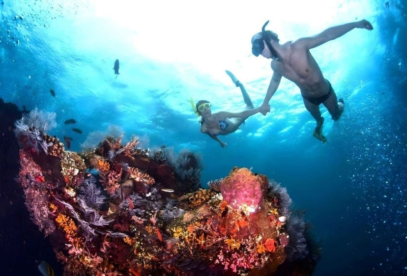 Bali Blue Lagoon and Tanjung Jepun Private Snorkeling Adventure – Reef, Coral, and Tropical Fish 3