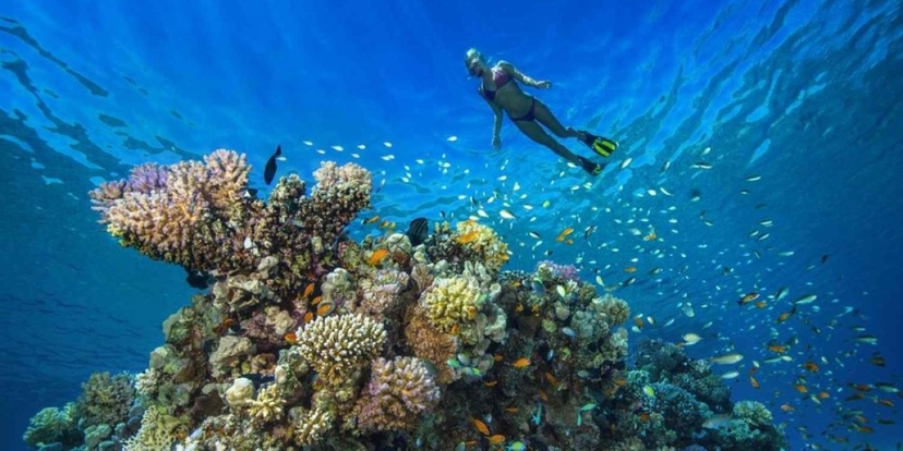 Bali Blue Lagoon and Tanjung Jepun Private Snorkeling Adventure – Reef, Coral, and Tropical Fish 4