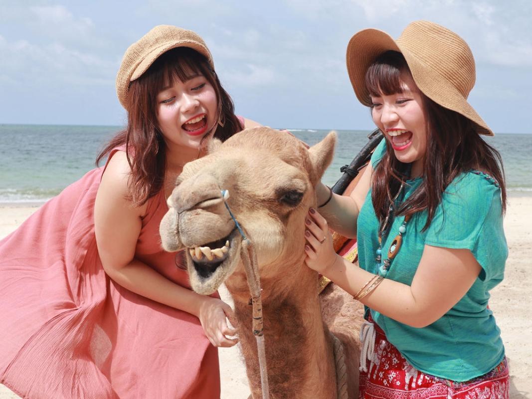 Bali Beach Camel Ride – Unforgettable Coastal Experience Bali Beach Camel Ride – Unforgettable Coastal Experience