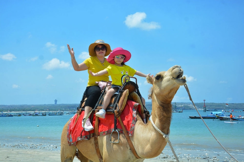 Bali Beach Camel Ride – Unforgettable Coastal Experience 3