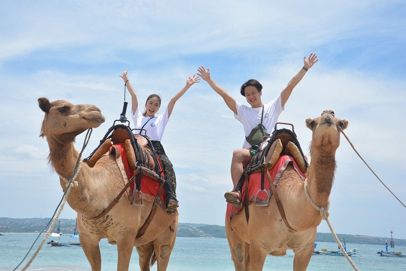 Bali Beach Camel Ride – Unforgettable Coastal Experience 4