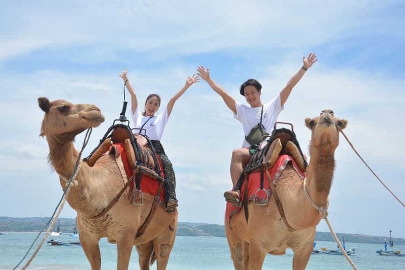 Bali Beach Camel Ride – Unforgettable Coastal Experience 4