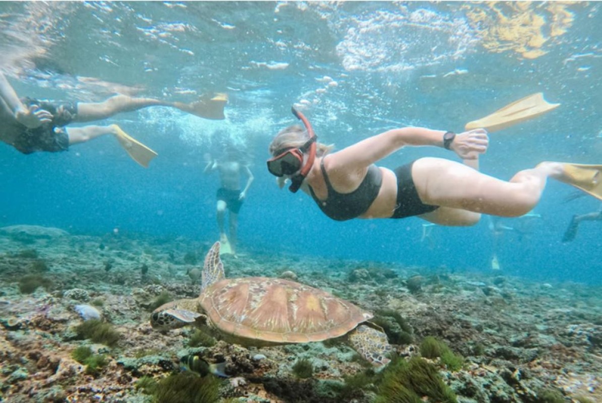 Nusa Penida Premium Yacht Day Trip: Manta Ray Snorkeling & Kelingking Beach from Bali 1