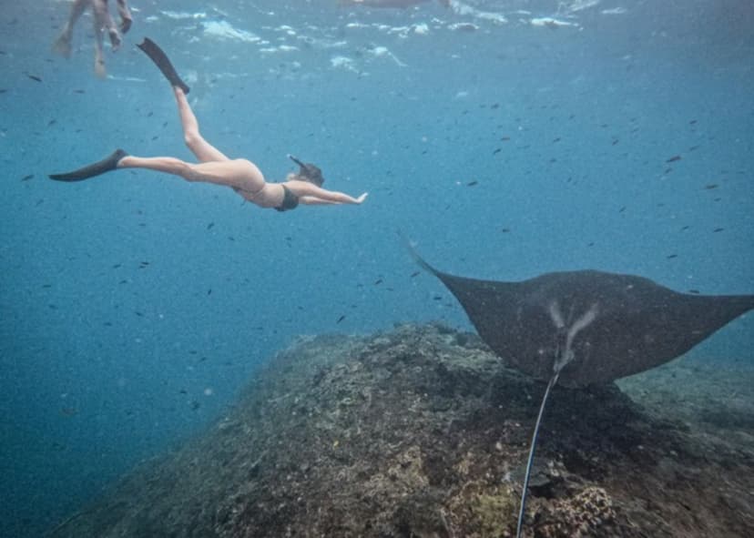Nusa Penida Premium Yacht Day Trip: Manta Ray Snorkeling & Kelingking Beach from Bali 4