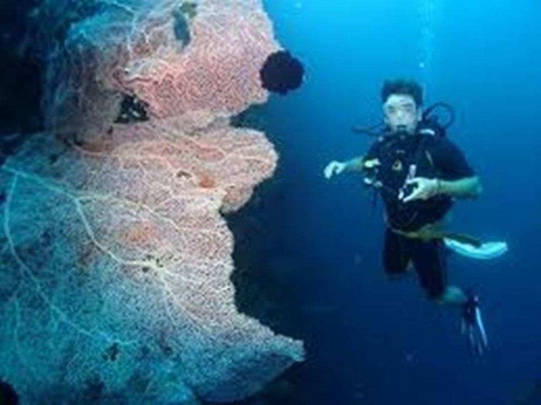 Bali Tulamben Scuba Diving: USAT Liberty Shipwreck Dive with Lunch & Hotel Transfer 1