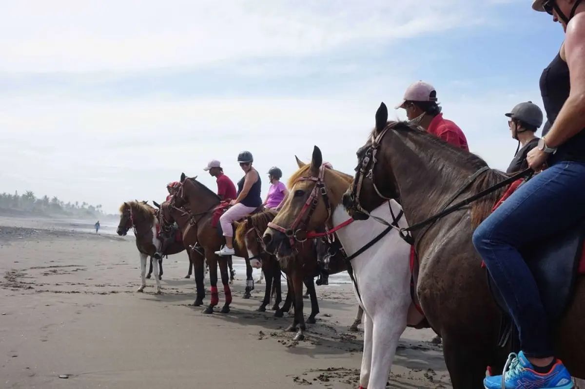 Bali Tabanan Horseback Riding: Rice Terraces & Black Sand Beach Bali Tabanan Horseback Riding: Rice Terraces & Black Sand Beach