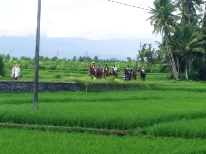 Bali Tabanan Horseback Riding: Rice Terraces & Black Sand Beach 2