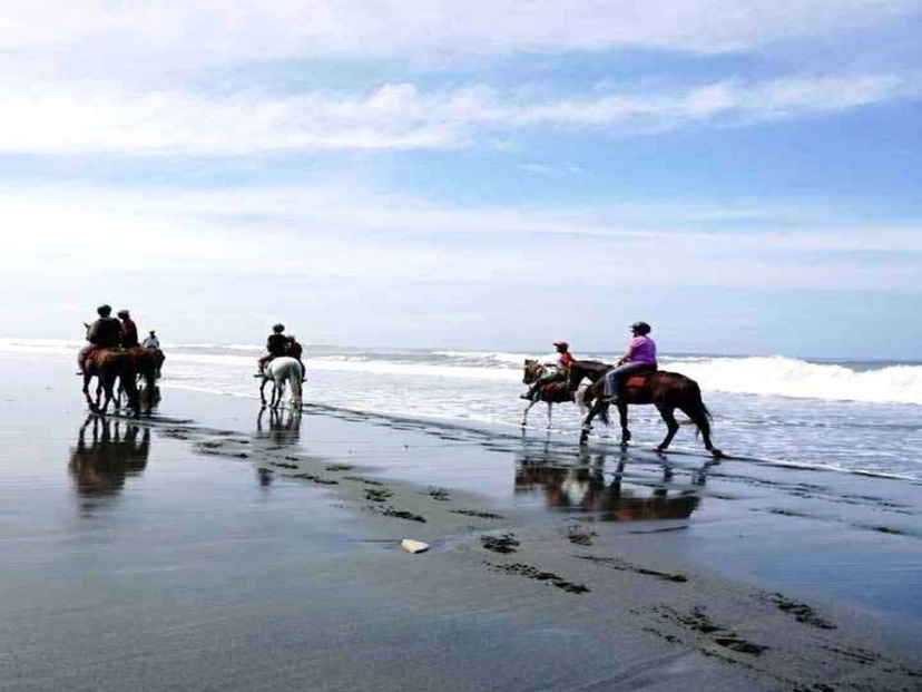 Bali Tabanan Horseback Riding: Rice Terraces & Black Sand Beach 3