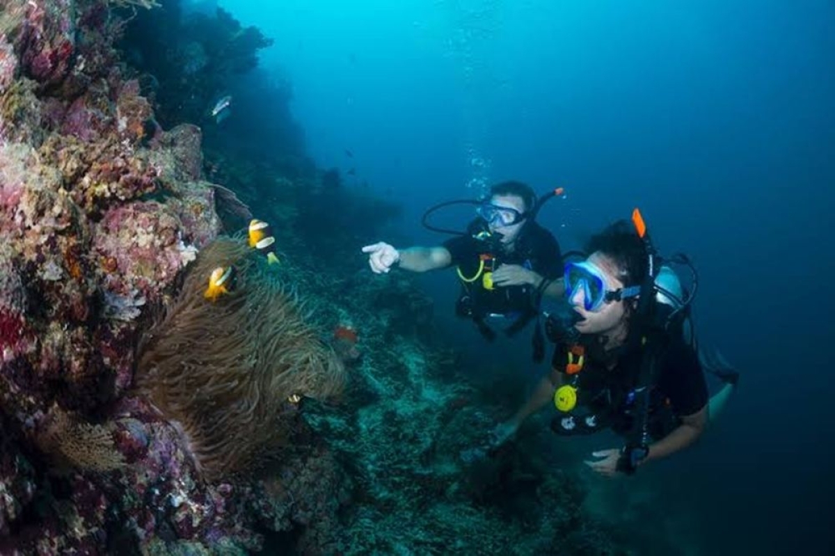 Bali Menjangan Island: Beginner Discovery Scuba Diving with PADI Instructor 1